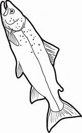 Fish Coloring Pages Realistic Kids Printable Colouring Trout Template Print Drawings Patterns Real School Color Outline Walleye Fishing Sheets Ocean sketch template
