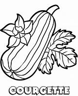 Coloring Printable Zucchini Courgette Pages Sheets sketch template