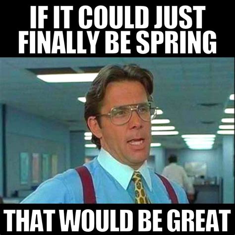 hilarious spring memes    laughing  season long