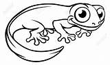 Newt Salamandra Salamander Filmtecken Eller Animati Personaggio Cartoni Tritone Molch Venenosa Comun sketch template