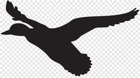 duck flight mallard flying duck silhouette hand bird png pngegg