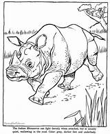 Animal Coloring Rhino Pages Drawing Drawings Zoo Indian Rhinoceros Animals Kids Printable Rhinos Colouring Color Wild Honkingdonkey Tomahawk Book Worksheets sketch template
