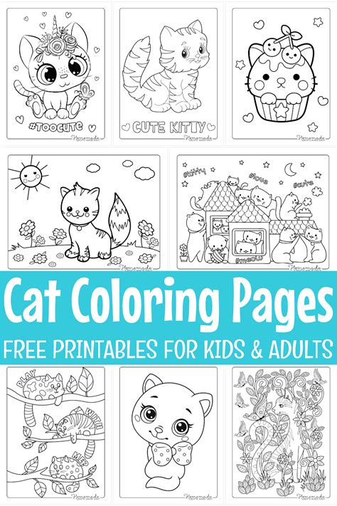 cat coloring pages  kids adults