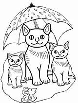 Coloring Pages Kitten Printable Kids Print sketch template