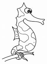 Coloring Seaweed Pages Cliparts Stick Seahorse Tall Around Using Its Getcolorings sketch template