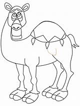 Camel Coloring Template Animal Pages Animals Crafts Printable Templates Shape Camels Popular Kids Colouring Gif Library Coloringpagebook Advertisement sketch template