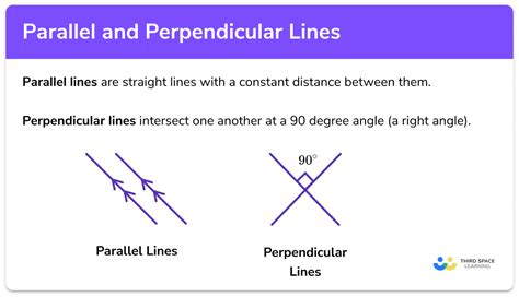 parallel  perpendicular lines gcse maths steps examples worksheet