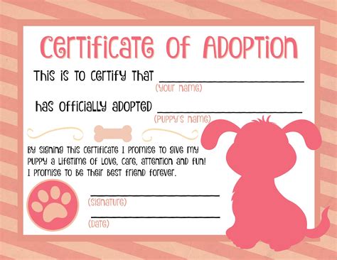 adoption certificate ideas  pinterest paw patrol stuffed