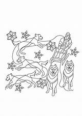 Coloring Dog Sled Pages Printable Drawing Color Popular Getdrawings sketch template