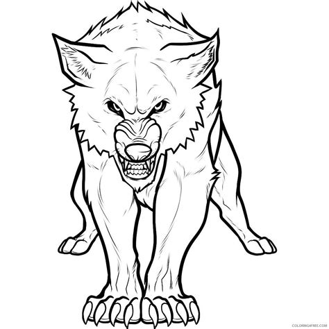 fighting wolves drawing  getdrawings