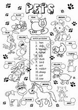 Pets Worksheets Esl Printables Worksheet Animals Ingles Printable Farm Para Em Atividades Inglês Colour Wild Fichas Crianças Match Eslprintables Salvo sketch template