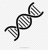 Dna Coloring Pinclipart Kindpng sketch template