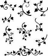 Ivy Vine Tattoo Drawing Vector Tattoos Silhouette Simple Vines Lierre Stencil Vigne Small Dessin Google Misc Feuille Result Pattern Flowers sketch template