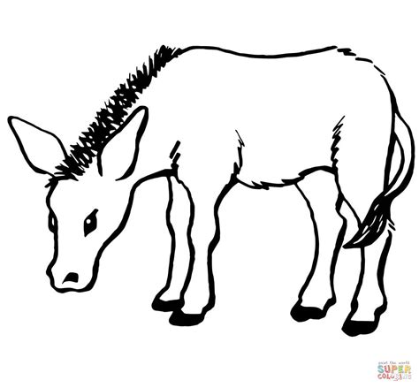 donkey drawing outline  getdrawings