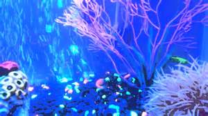 Glow fish tank YouTube