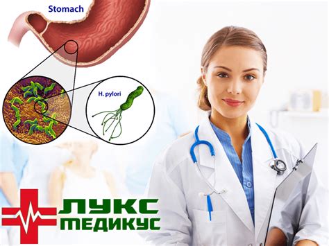 Здравje Испитување на helicobacter pylori kupinapopust mk
