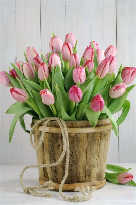 tulips flower bouquet 0602146907 skogedal torbjorn skogedal