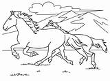 Coloring Pages Horse Printable Kids Choose Board sketch template