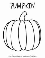 Mff Pumpkin Coloring sketch template