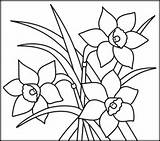 Coloring Narcissus Flowers Related Pages sketch template