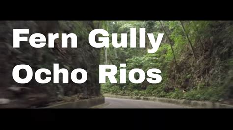 Fern Gully Ocho Rios Jamaica Youtube