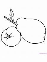 Quince Fruit sketch template