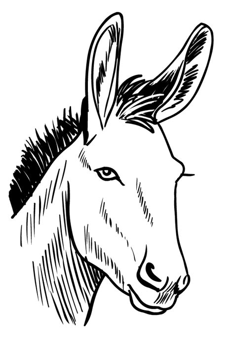 drawing  donkeys coloring page