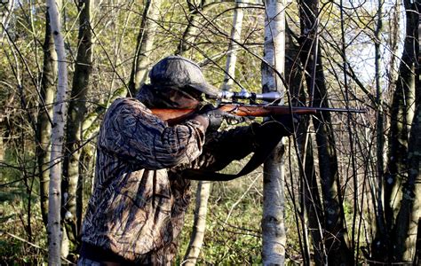 hunting rifles reviewed  rated   thegearhunt