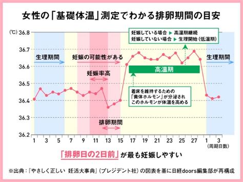 最も妊娠しやすい排卵日2日前 妊活制する基礎体温習慣：日経xwoman