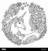 Unicorn Drawing Flowers Sketch Circle Freehand Coloring Magic Beauty Adult Color Vector Tangle Antistress Doodle Composition Elements Alamy sketch template