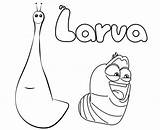 Larva Larve Animation sketch template