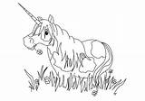 Licorne Unicornios sketch template