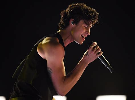 Shawn Mendes Tops List Of Most Searched Names On Gay Porn Site In 2019