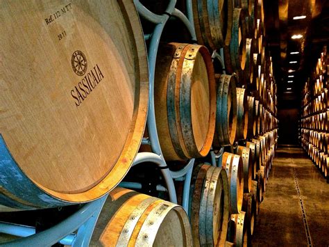 san guido winery fine tuscan wines  ireland   taste  italy