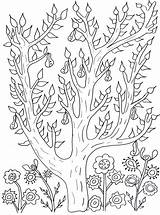 Coloring Tree Pages Leaves Olivier Pears Adult Flowers Cute Printable Print Adults Color Garden Fleurs Et Vegetation Book Visit Nature sketch template
