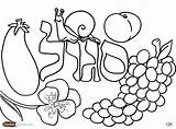 Coloring Pages Shabbos Fruit Challah Torah Salad Hebrew Printable Color Getcolorings Tots Colors sketch template