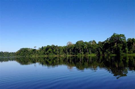 conozca la maravillosa biodiversidad de la reserva nacional tambopata