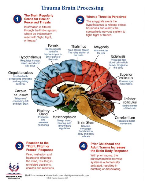 infographic trauma brain  processing
