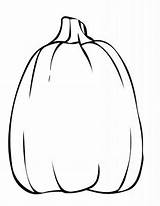Pumpkin Spookley Squash Popular sketch template