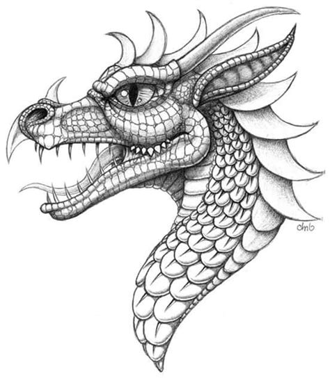 pin  jennifer fair   colouring pages dragon drawing dragon