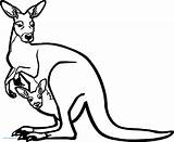 Kangaroo Coloring Drawing Zoo Pages Template Baby Printable Face Kids Getdrawings Wecoloringpage sketch template