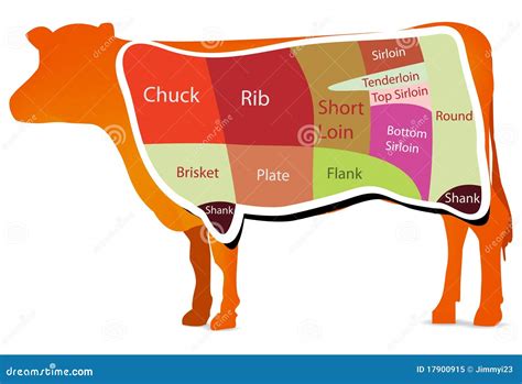 beef cutting chart royalty  stock photo image