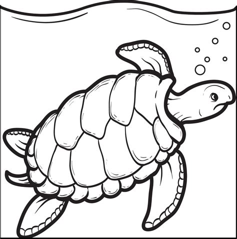 printable swimming turtle coloring page  kids supplyme