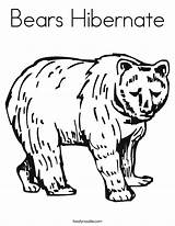 Coloring Hibernate Bears Bear Pages Animals Hibernation Hibernating Animal Noodle Built California Usa Print sketch template