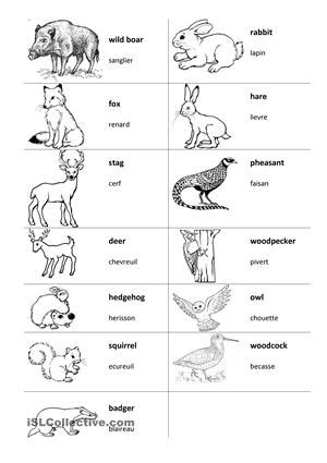 images  articles  demonstratives worksheets examples