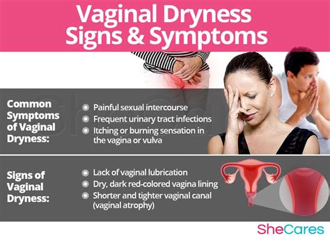 What Causes Vaginal Dryness – Artofit