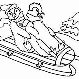 Coloring Penguin Happy Sled Penguins Playing Hill Winter Two Realistic Humboldt Drawing Hole Fishing Ice Through sketch template
