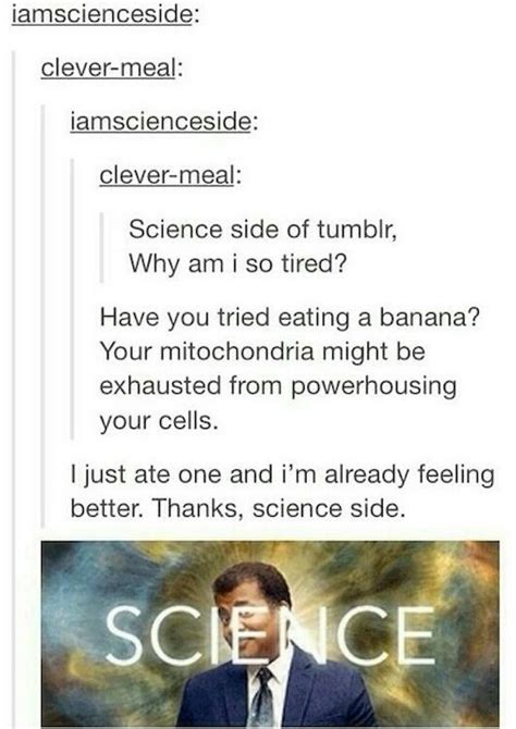 15 times the science side of tumblr explained things for us all