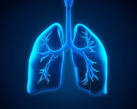 best 40 respiratory therapy wallpaper on hipwallpaper