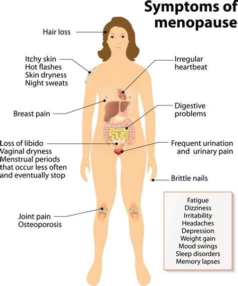 menopause symptoms and health risks what s up usana